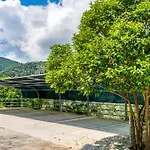 Nikoleta 4 *
